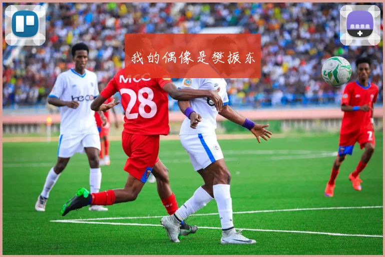 我的偶像是樊振东