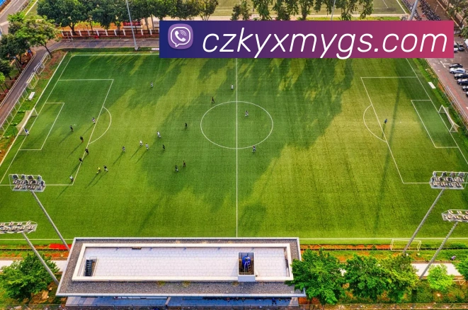 多媒体互动体验